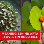 Why Do We Distribute Apta Leaves on Dussehra