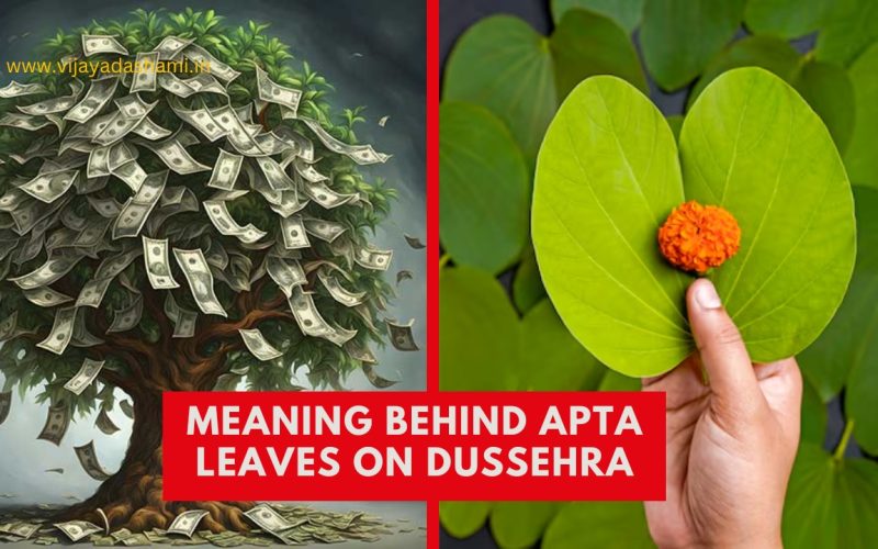 Is Giving Apta Leaves on Dussehra Really a Symbol of Prosperity?